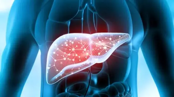 آشنایی با ویتامینی که برای سلامتی کبد و کلیه ضروری است