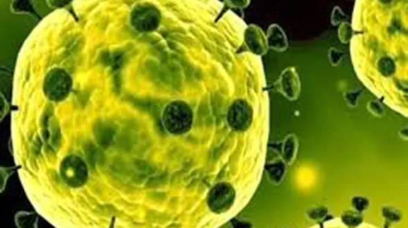 پلمب خانه‌های اجاره‌ای غیرمجاز در بندرعباس 