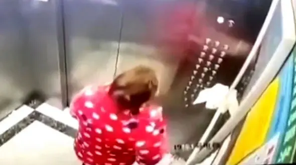 اقدام خجالت آور یک زن در آسانسور+فیلم