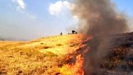 معرفی ٣٠۵ فرد خاطی در آتش‌‌سوزی مزارع کشاورزی به مراجع قضایی/ مدیرکل محیط زیست لرستان خبر داد