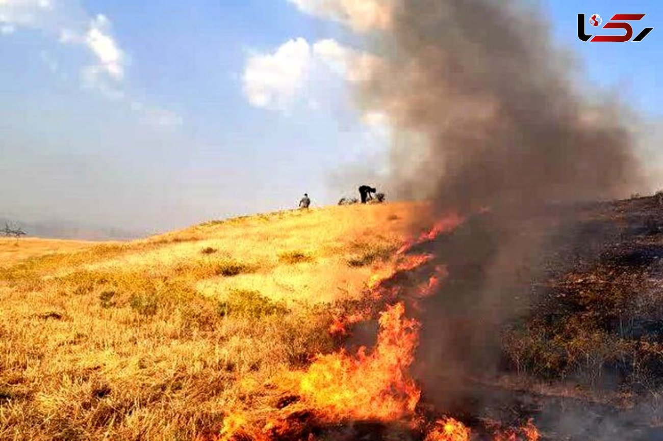 معرفی ٣٠۵ فرد خاطی در آتش‌‌سوزی مزارع کشاورزی به مراجع قضایی/ مدیرکل محیط زیست لرستان خبر داد