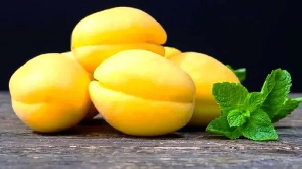 کدام میوه‌ها به جذب آهن در بدن کمک می‌کنند؟