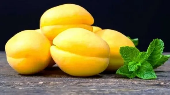 کدام میوه‌ها به جذب آهن در بدن کمک می‌کنند؟