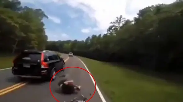 لحظه تصادف خودرو با دوچرخه سوار + فیلم 