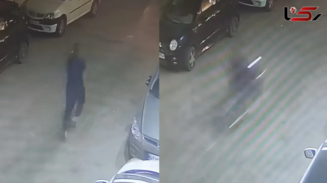 فیلم لحظه سرقت گوشی آیفون یک مرد مقابل چشم همسرش + گفتگو