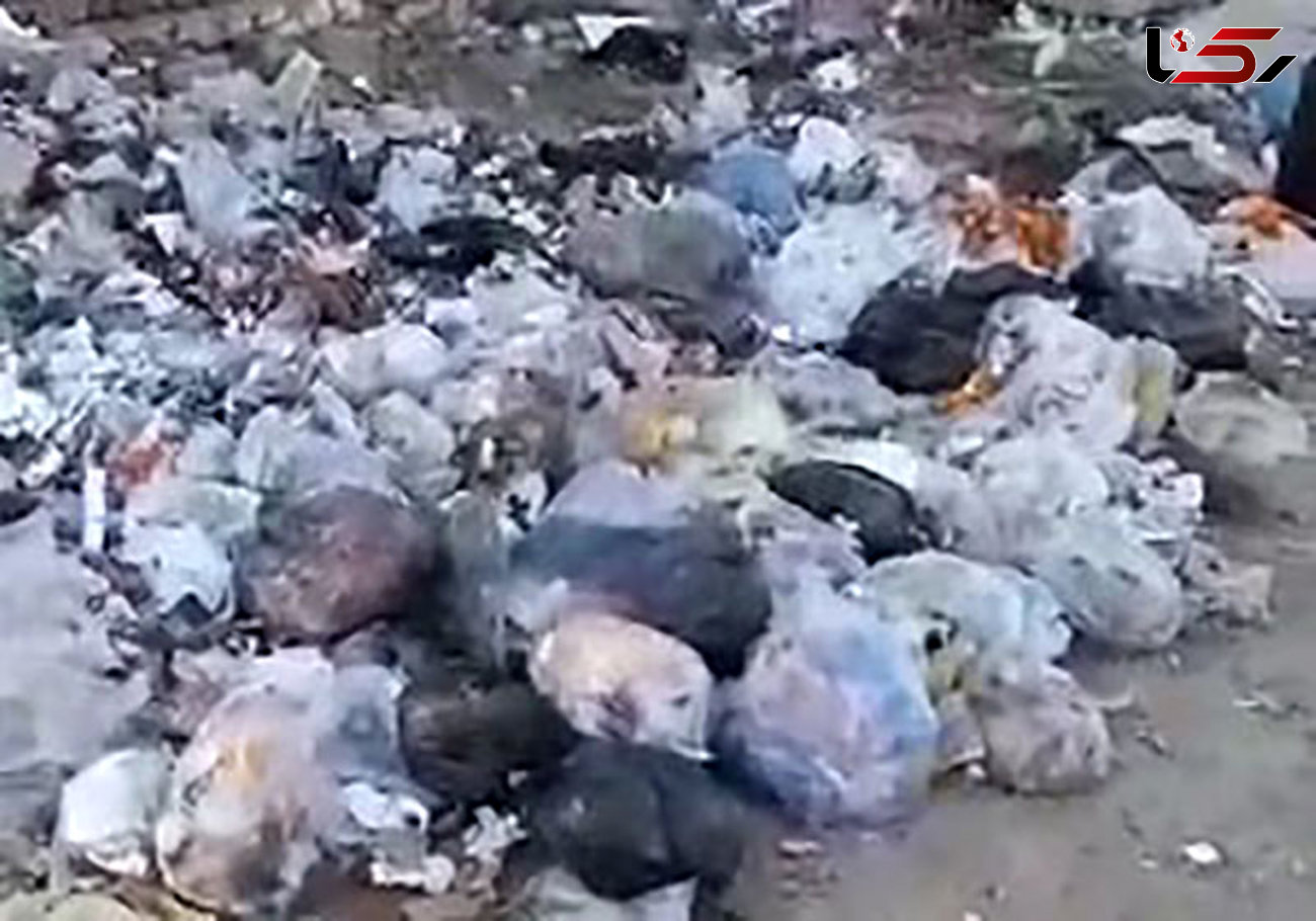 وضعیت نامناسب رسیدگی به زباله ها در کردستان  + فیلم 