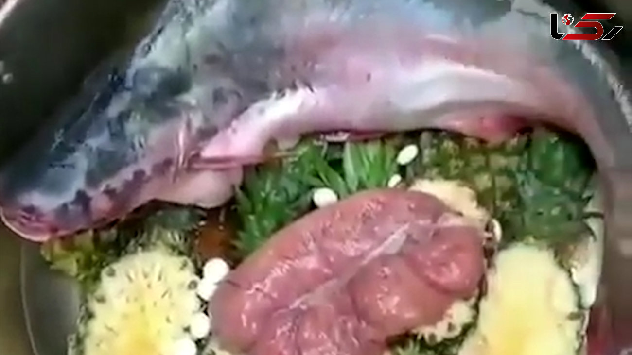 ترکیب ماهی با نوشابه چه شود؟! / فیلم
