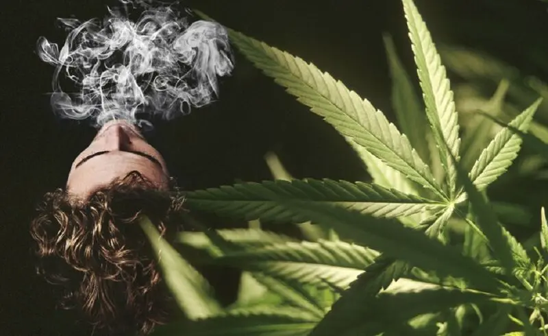 comp_weed1