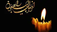 تسلیت استاندار آذربایجان شرقی به مناسبت درگذشت چهره برجسته شیمی