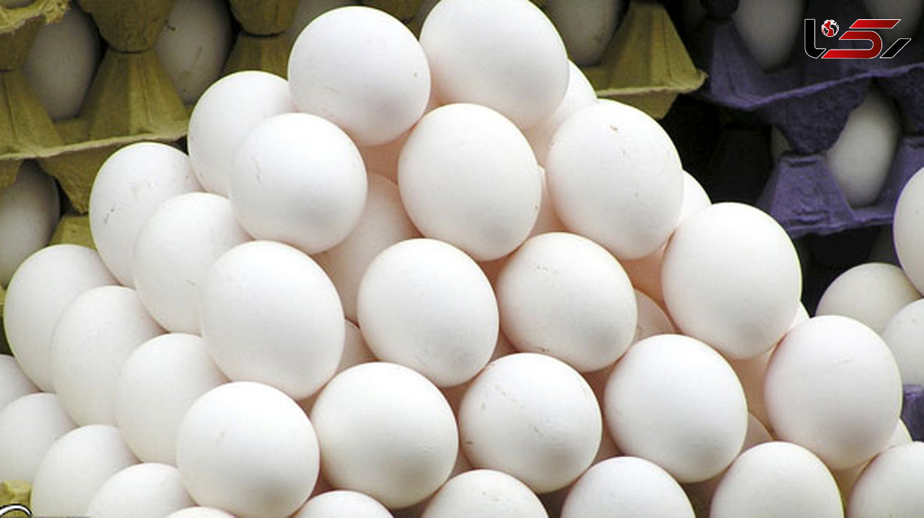 گرانفروشی تخم‌مرغ ارتباطی به تولید و تولیدکنندگان ندارد
