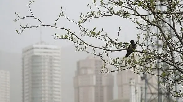 43 درصد هوای ناپاک اراک به علت وجود صنایع است