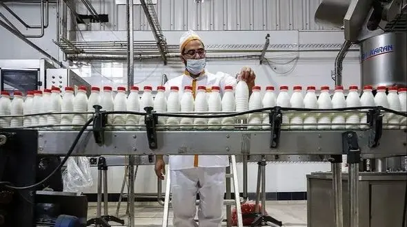 شیر خام ۳۵ هزار تومان شد؛ ریشه گرانی لبنیات کجاست؟