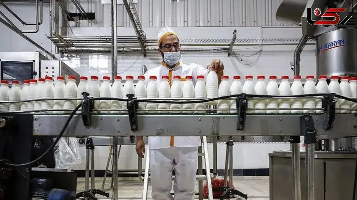 شیر خام ۳۵ هزار تومان شد؛ ریشه گرانی لبنیات کجاست؟