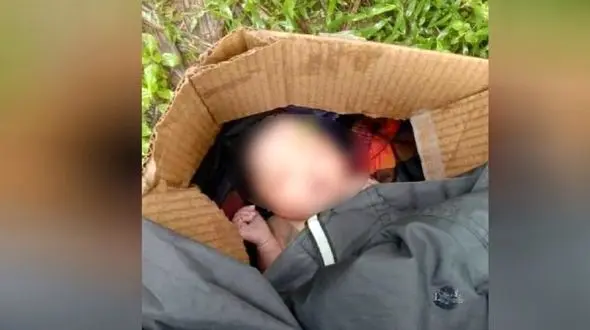 سگ ولگرد، جان نوزاد سر راهی را نجات داد! / فیلیپین
