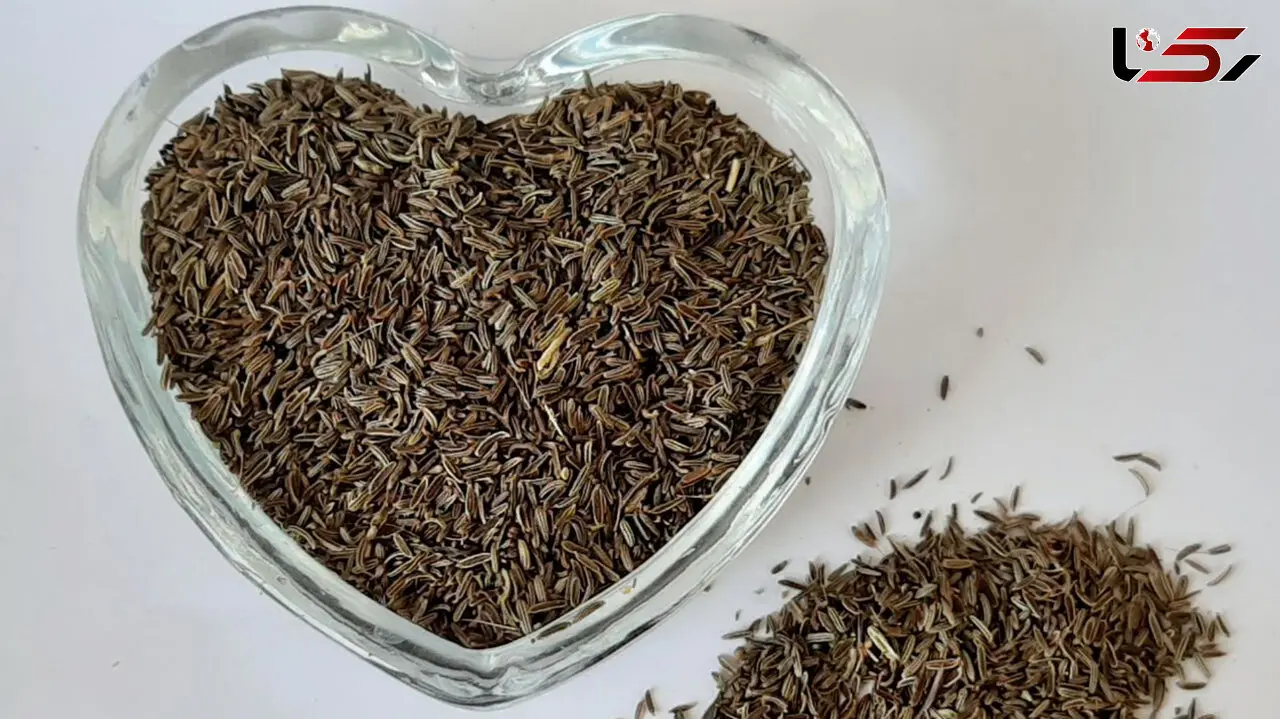 پیشگیری از پوکی استخوان با زیره سیاه 