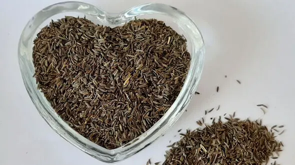پیشگیری از پوکی استخوان با زیره سیاه 
