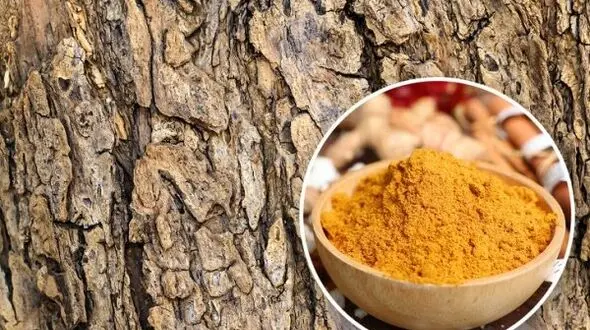 چیز‌های عجیبی که نمی‌دانستید قابل خوردن هستند
