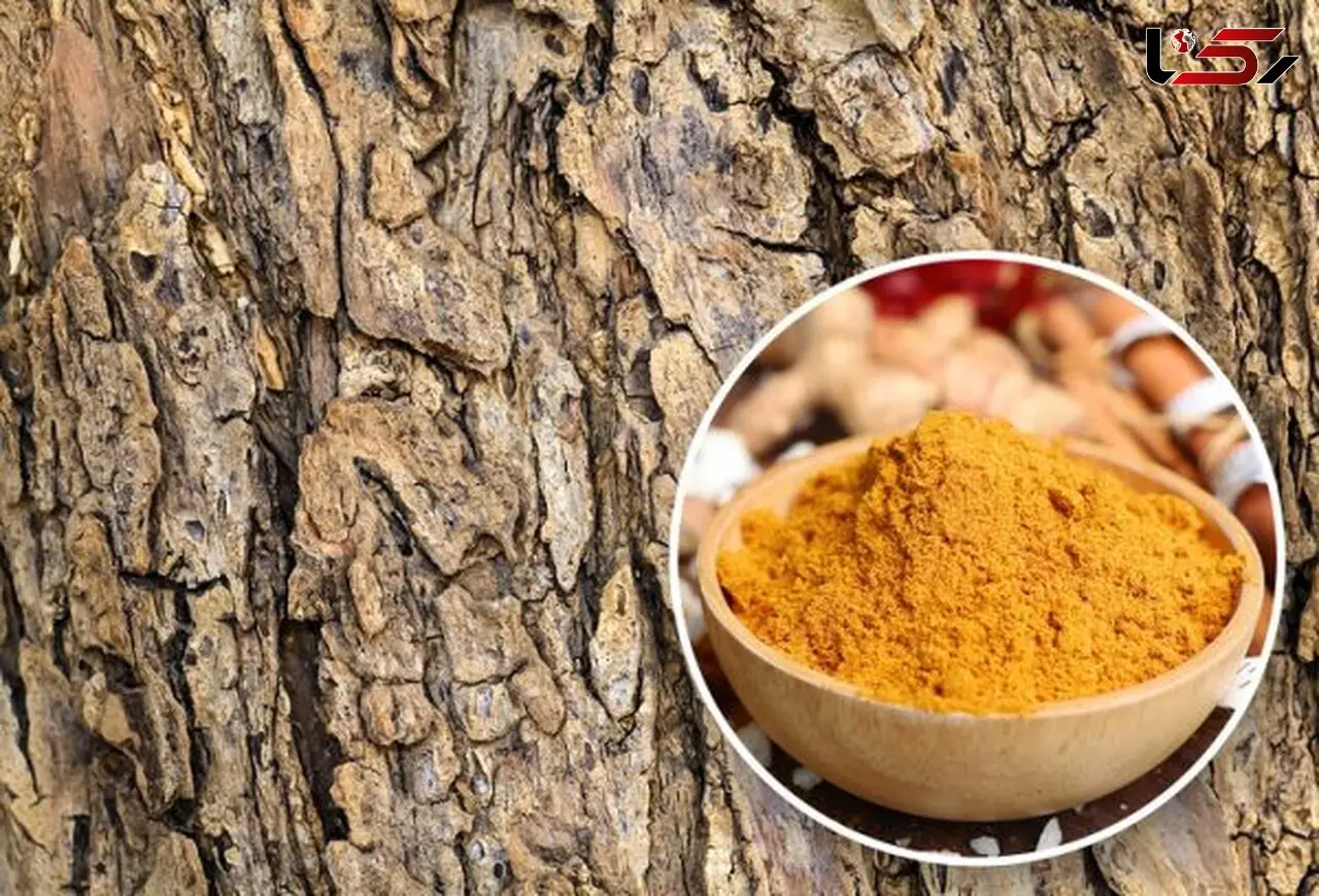 چیز‌های عجیبی که نمی‌دانستید قابل خوردن هستند
