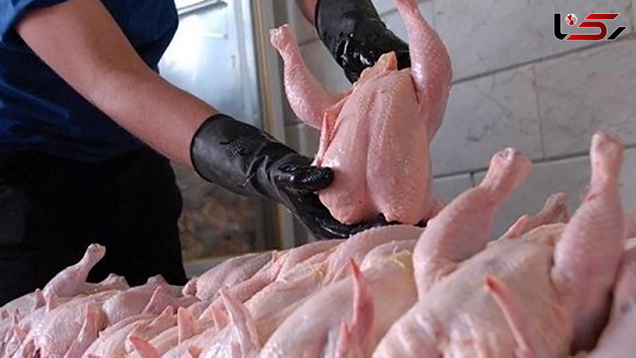 قیمت مرغ در بازار امروز جمعه 6 تیر 