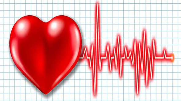 راز شادابی بدن شما در این 10 نکته نهفته است 