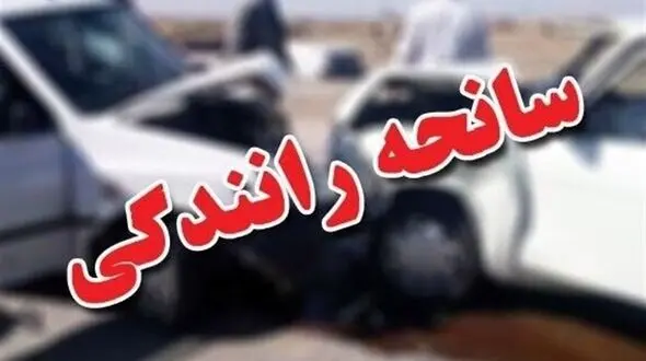 فیلم لحظه تصادف هولناک در جاده/ تیر برق خرد شد