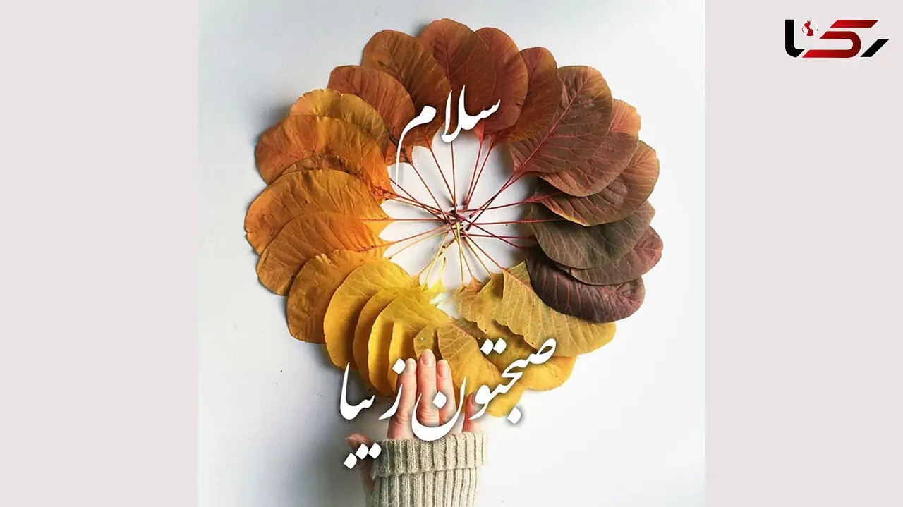 فال روزانه شخصی / 14 شهریور ماه + فیلم