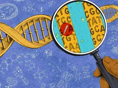 آیا شخصیت ما یک برنامه از پیش نصب شده است؟ راز طبیعت در برابر تربیت