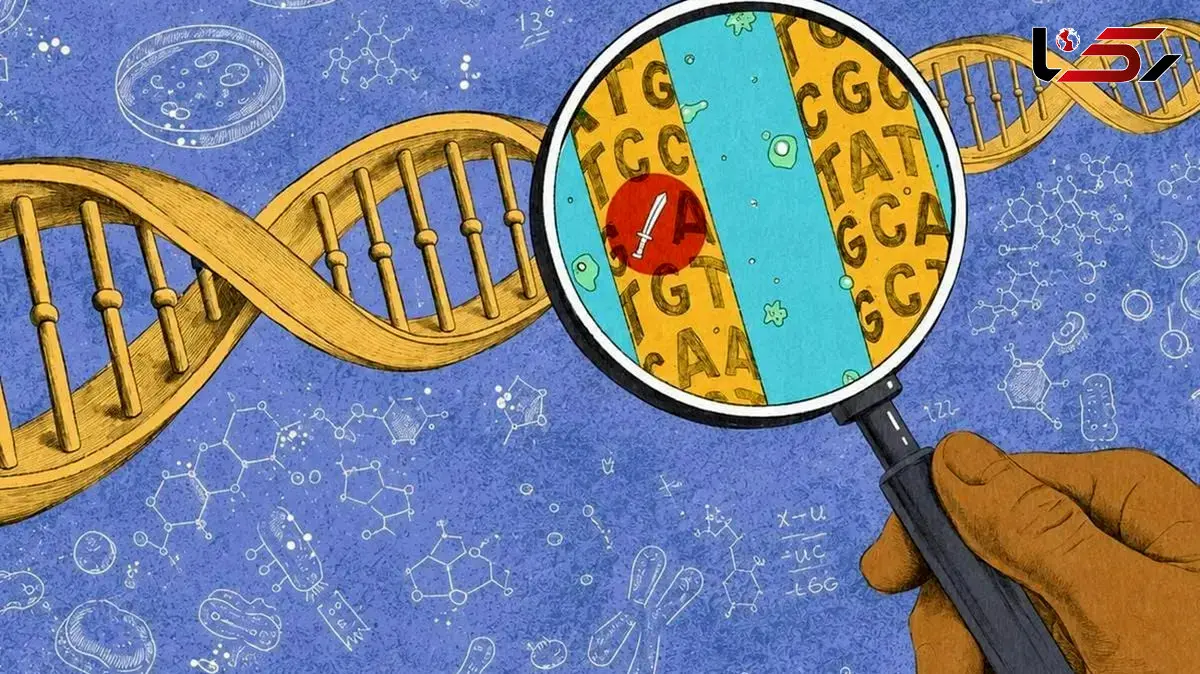 آیا شخصیت ما یک برنامه از پیش نصب شده است؟ راز طبیعت در برابر تربیت