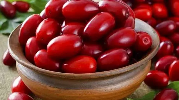 خواص  زغال اخته / پوستی جوان برای زنان زیبا