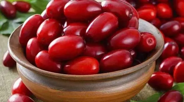 خواص  زغال اخته / پوستی جوان برای زنان زیبا