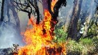 تلاش 3 ساعته برای مهار آتش در دل جنگل‌های چهاردانگه
