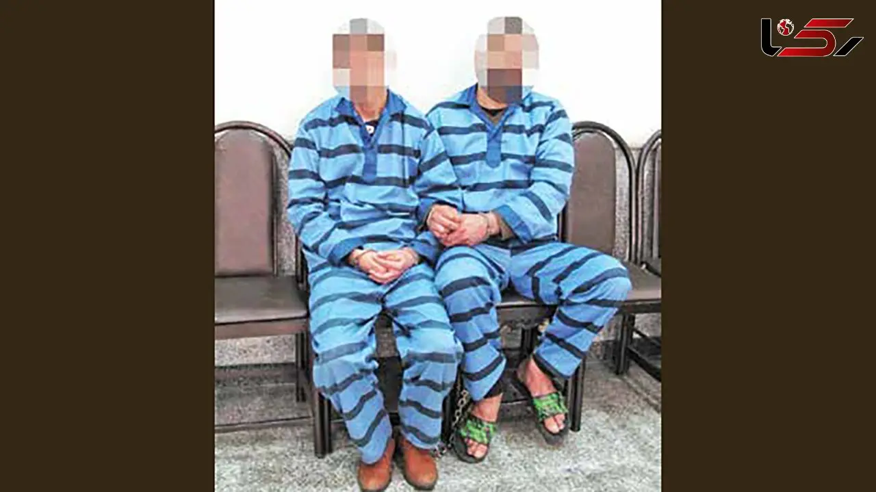 دزدی بزرگ از تاجر فرش تهرانی پس از مرگش / پای یک مرد و  زن به نام المیرا به این دزدی باز شد!