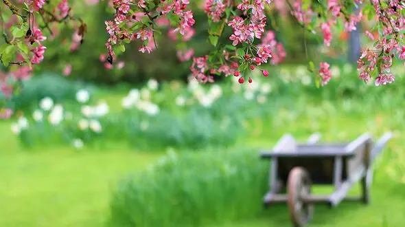 فرا رسیدن بهار زودتر از موعد همیشگی یک مشکل زیست محیطی