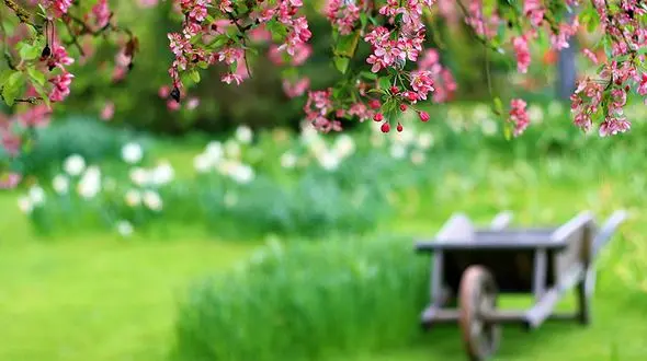 فرا رسیدن بهار زودتر از موعد همیشگی یک مشکل زیست محیطی