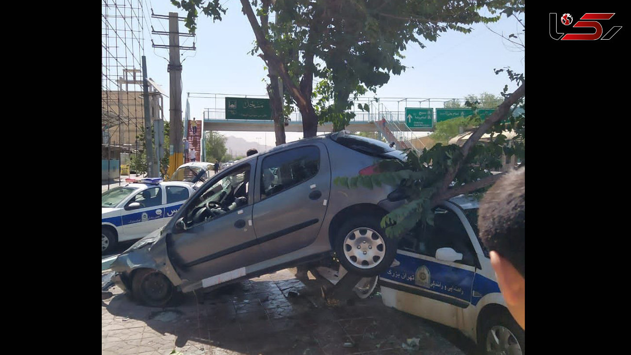 3 عکس از تصادف عجیب پژو 206 با پلیس و درخت / پژو 206 روی ماشین پلیس توقف کرد