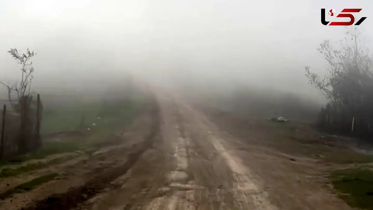 فیلم ییلاق شاه رسول تالش