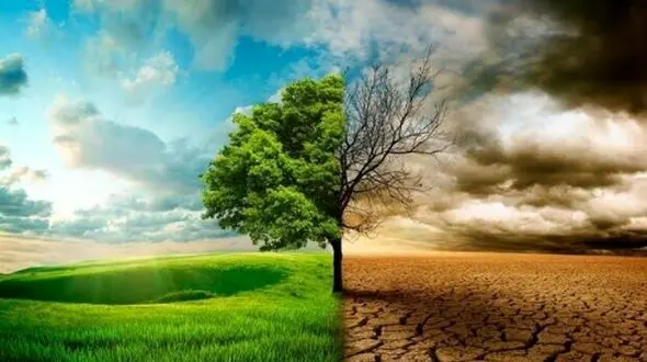 تفاوت گرمایش جهانی و تغییر اقلیم: همه آنچه باید بدانید