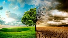 تفاوت گرمایش جهانی و تغییر اقلیم: همه آنچه باید بدانید