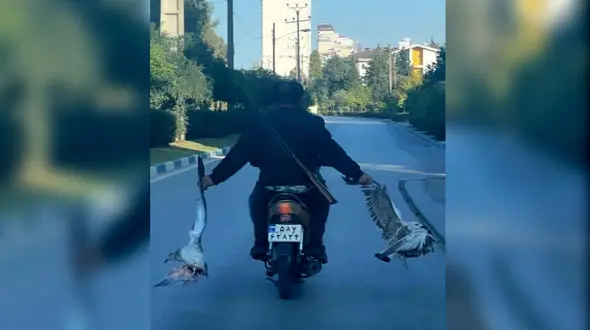 کاویان: شکارچی متخلف را به دستگاه قضا معرفی کرده ایم / پروانه شکار هنوز صادر نشده / مجازات بازدارنده نیست