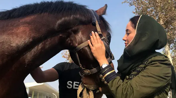 چرا بهاره افشاری هدیه رو وا نکرده پس فرستاد !؟