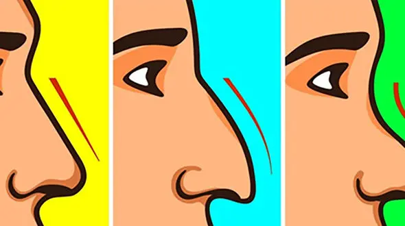 شکل بینی شما شخصیت‌تان را فاش می‌کند! 