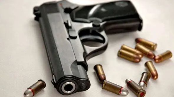 کشف سلاح های جنگی در ایلام / مرزبانی فاش کرد