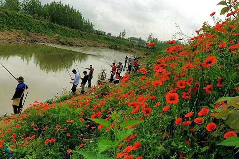 آشنایی با تالاب سیاه درویش