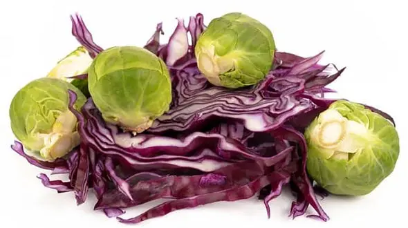 قاتل زانودرد را بشناسید