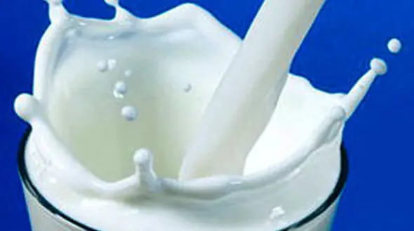 ماجرای آفلاتوکسین، مصرف لبنیات را کاهش داد