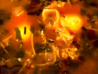 طرز تهیه شوربا یا تره شورباسی ارومیه + فیلم