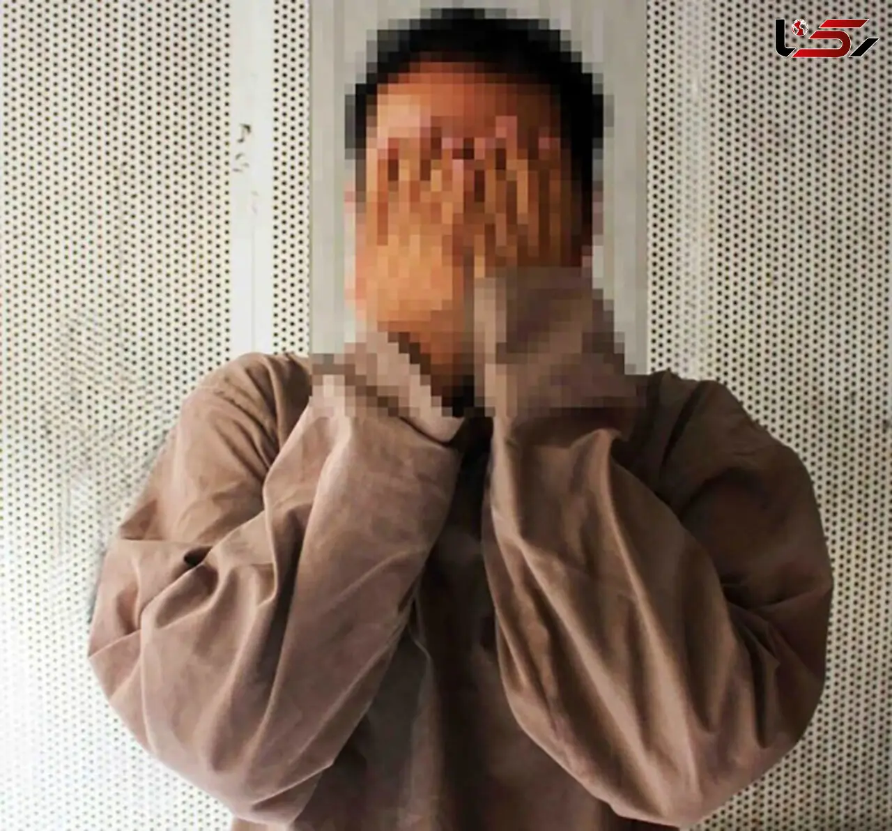 سارق منزل در زنجان دستگیر شد