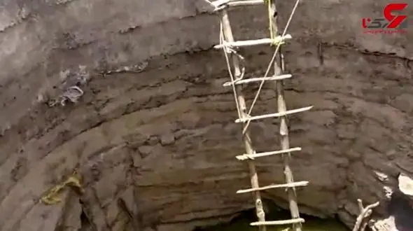 نجات پلنگ از درون چاه با نردبان + تصویر