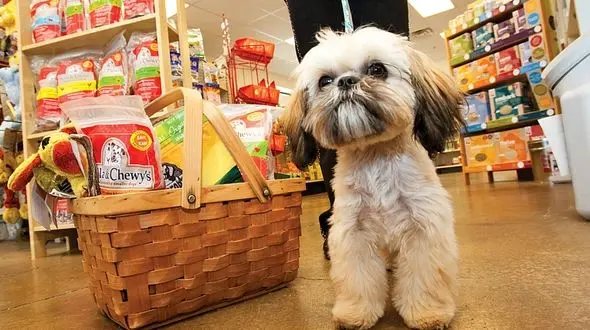 ماجرای پلمب چند پت شاپ در پایتخت چه بود؟ / پلیس امنیت توضیح داد