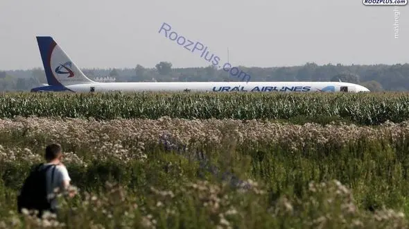 فرود اضطراری هواپیمای ایرباس در مزارع ذرت+عکس 